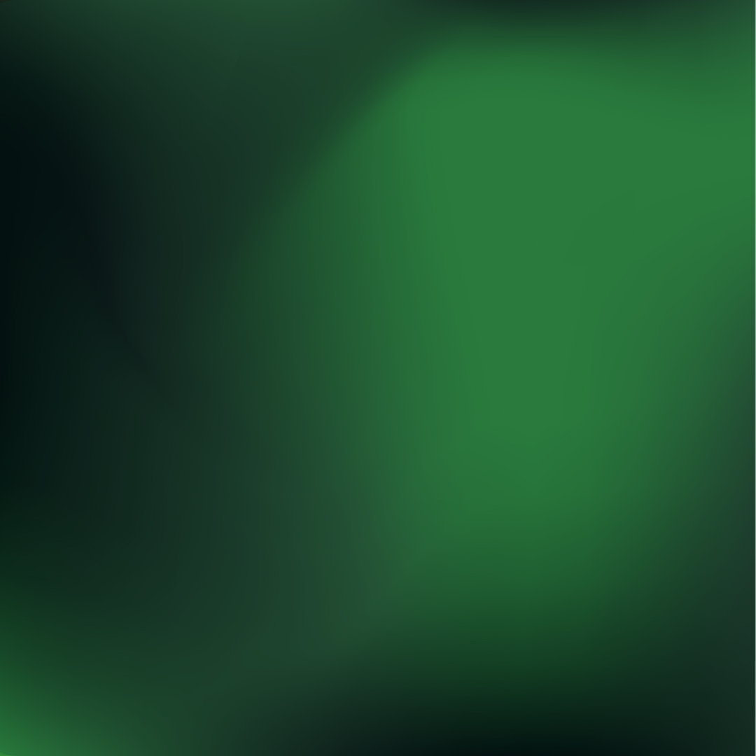 WST_ Immagini Insight